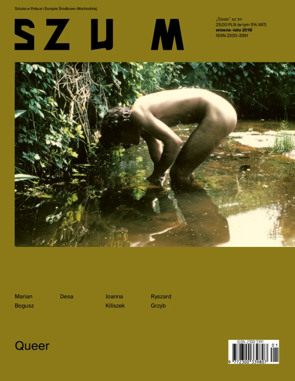 fkm_szum20_okladka_www_130318.png